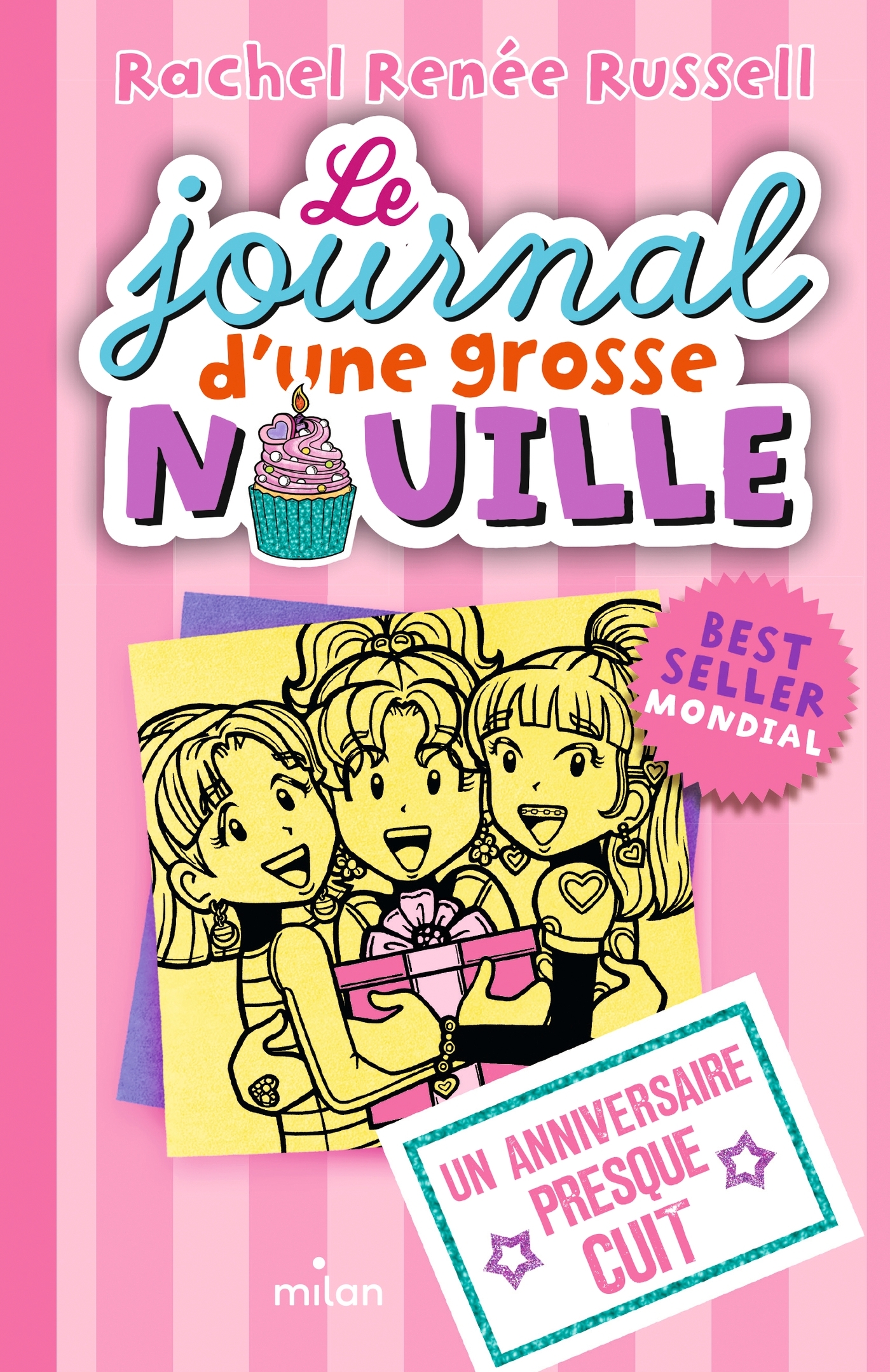 Le journal d'une grosse nouille, Tome 13