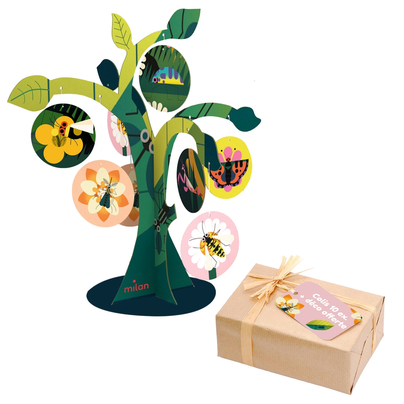 Colis déco Petites bêtes 2024