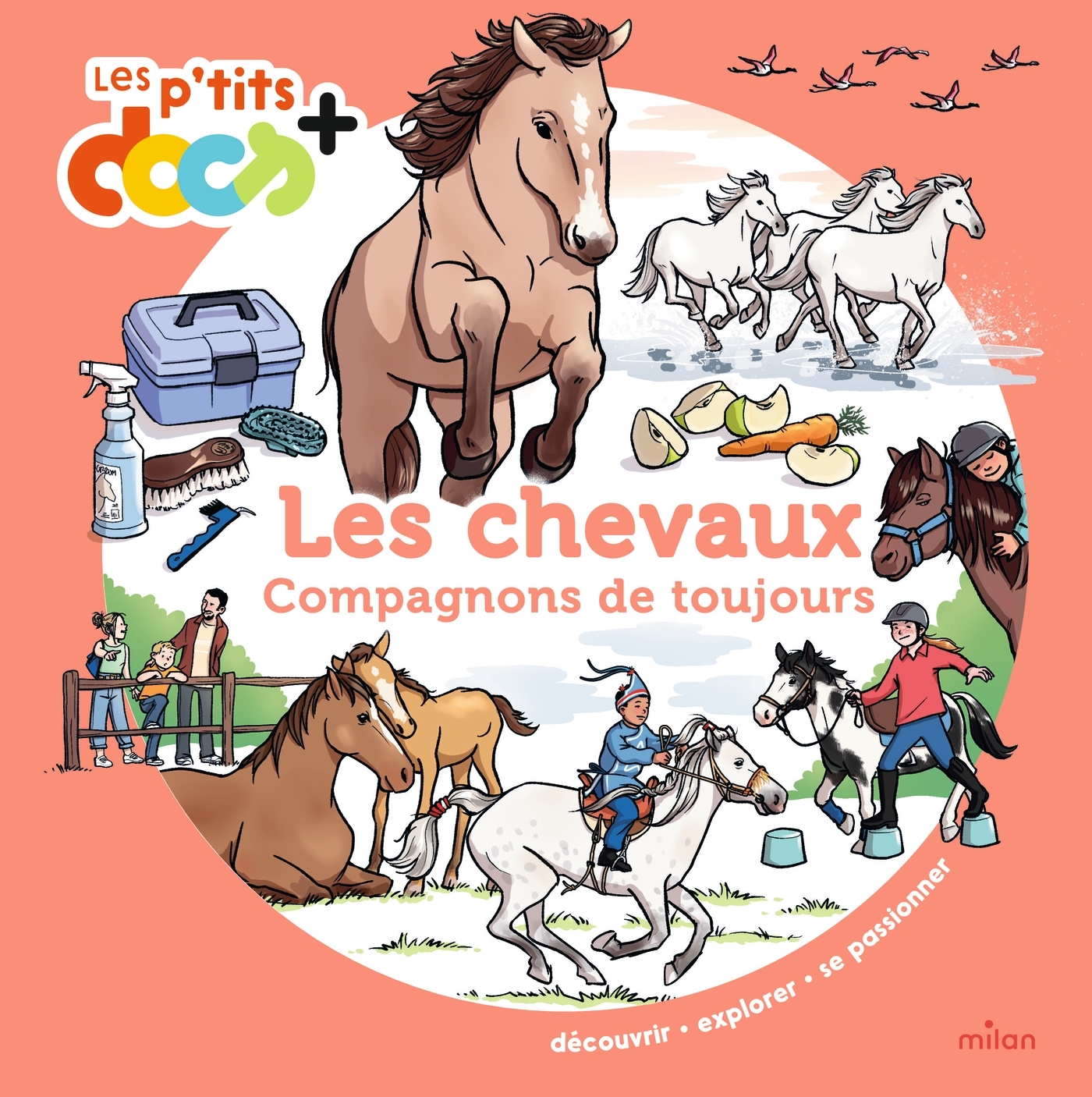 Les chevaux