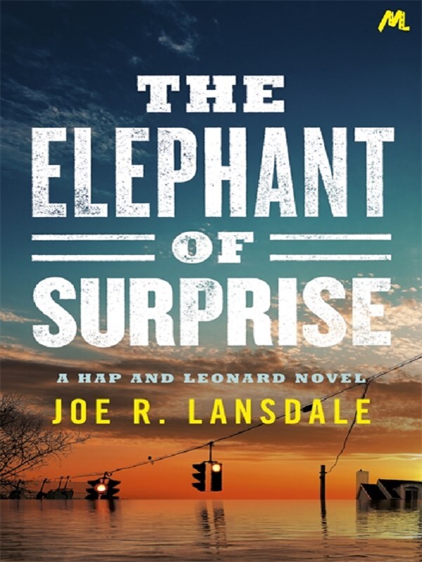 The Elephant of Surprise