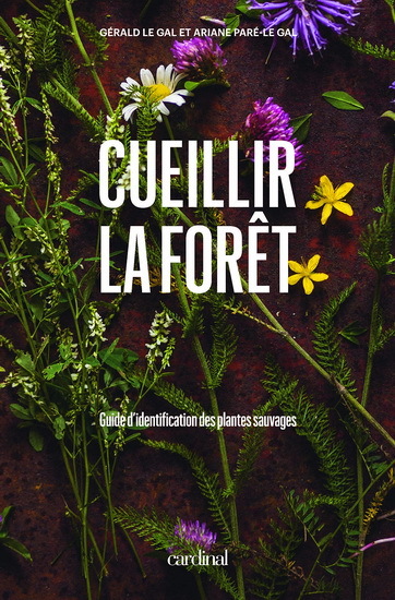 CUEILLIR LA FORET. GUIDE D'IDENTIFICATION DES PLANTES SAUVAGES