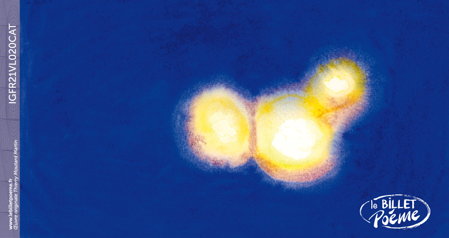 'Mêler à la soif du regard...' Jean METELLUS ; Oeuvre originale Thierry MOUTARD MARTIN