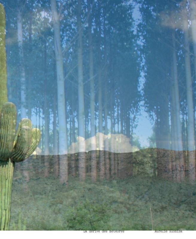 Aurélie Slonina - La Dérive des météores