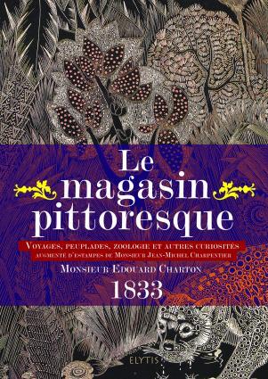 LE MAGASIN PITTORESQUE