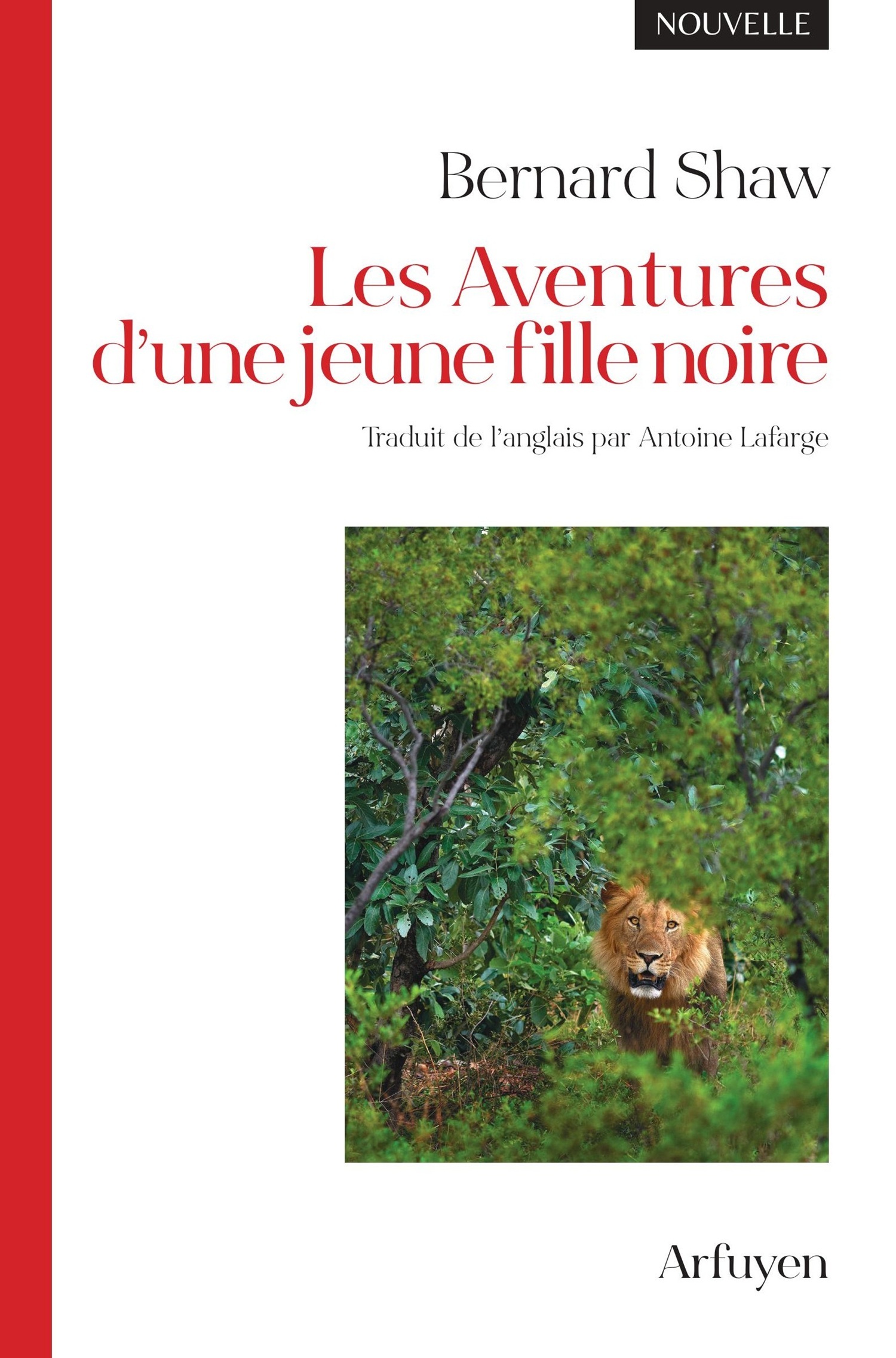 Les Aventures d'une jeune fille noire