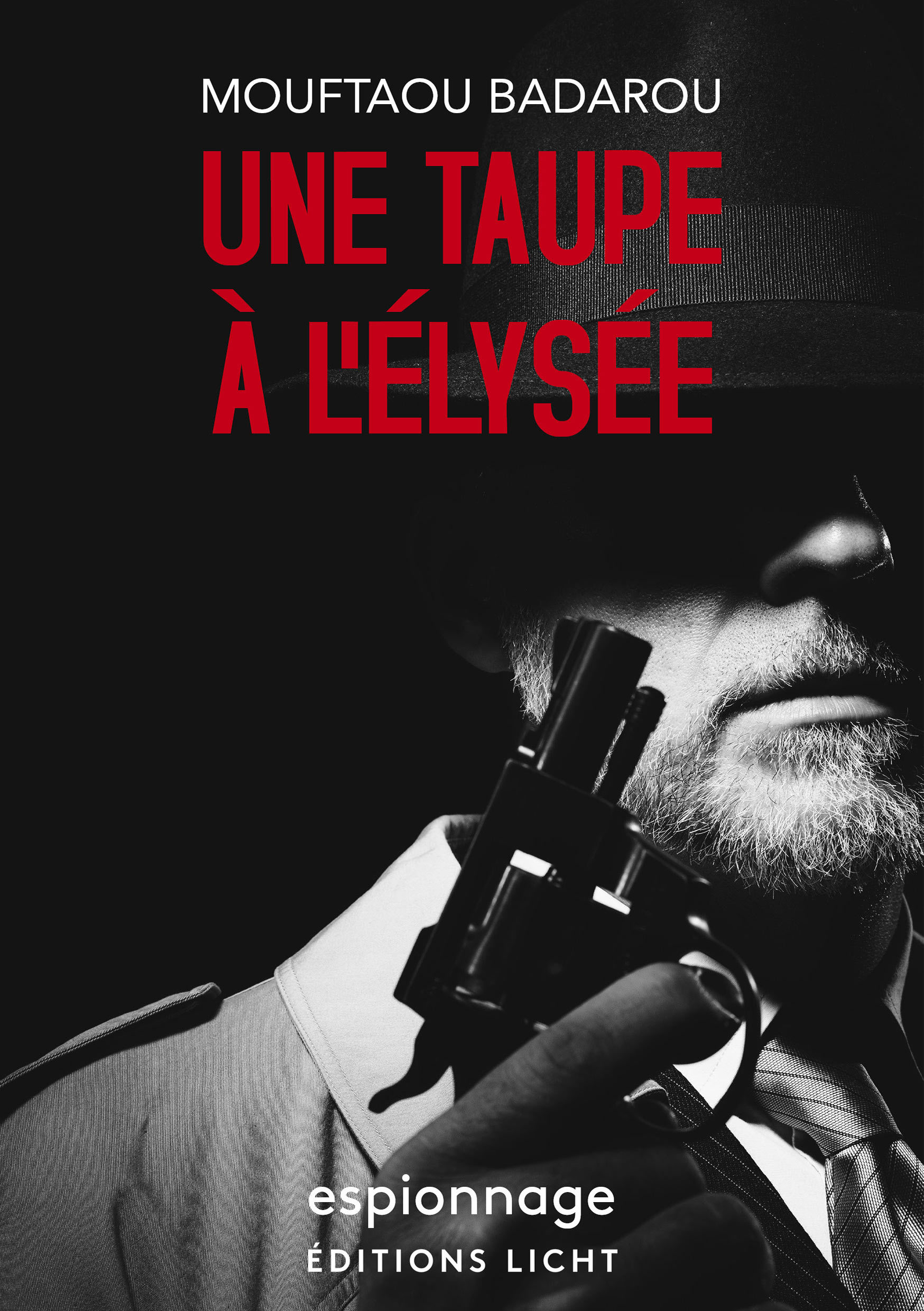 UNE TAUPE À L'ÉLYSÉE