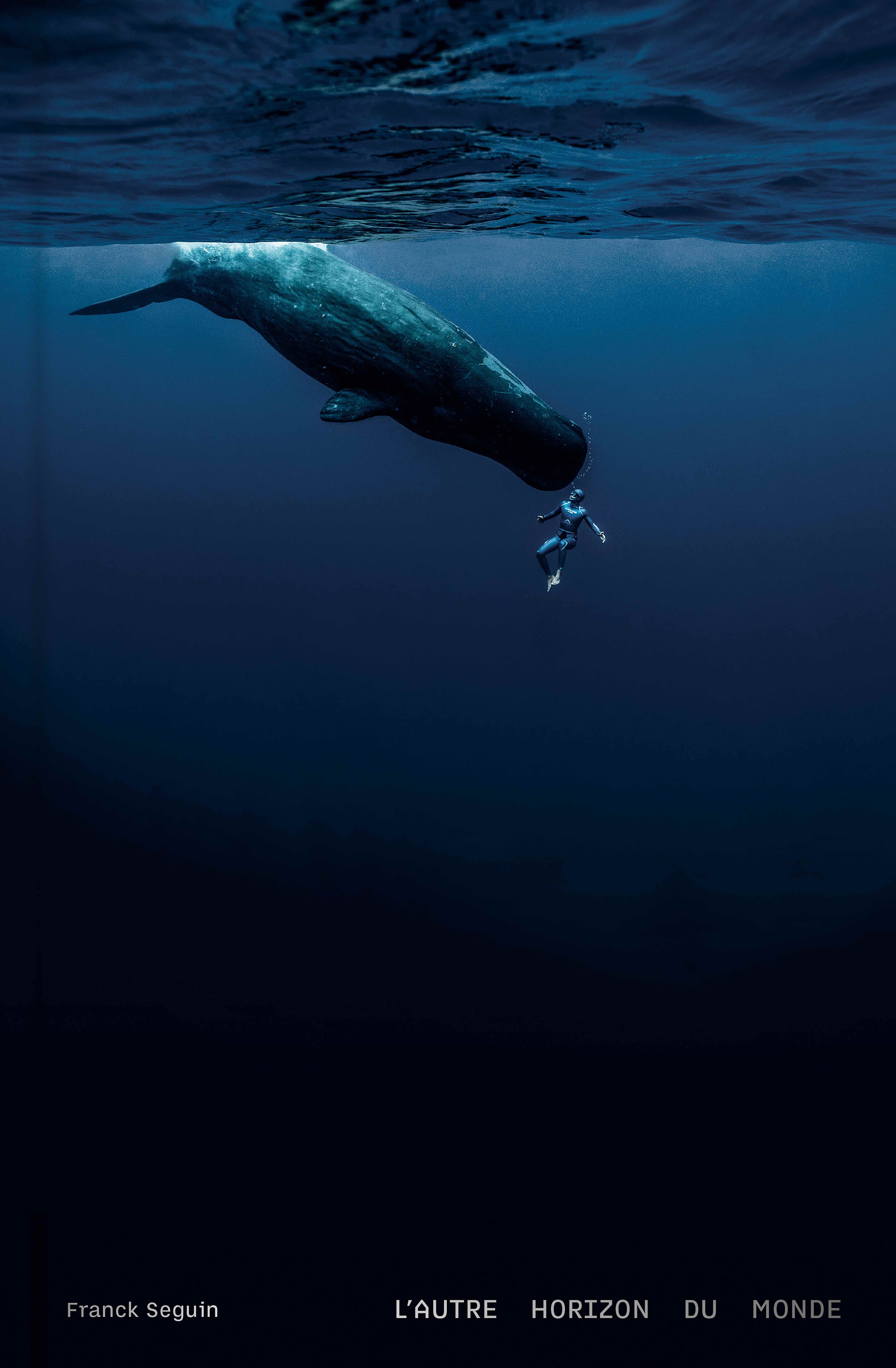 L'autre horizon du monde