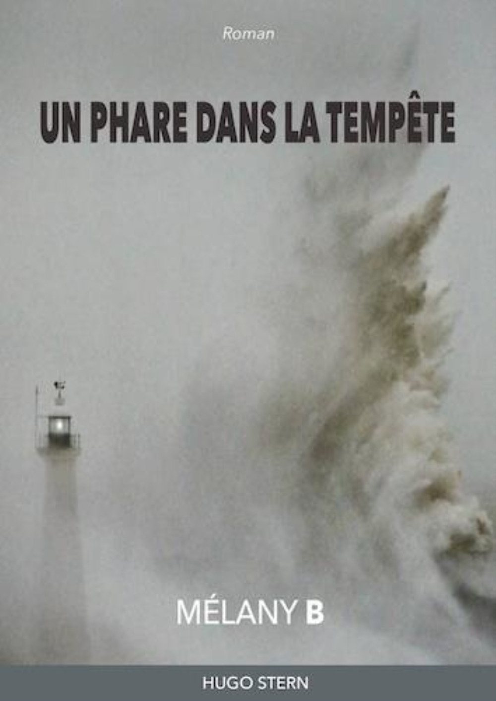 Un phare dans la tempête