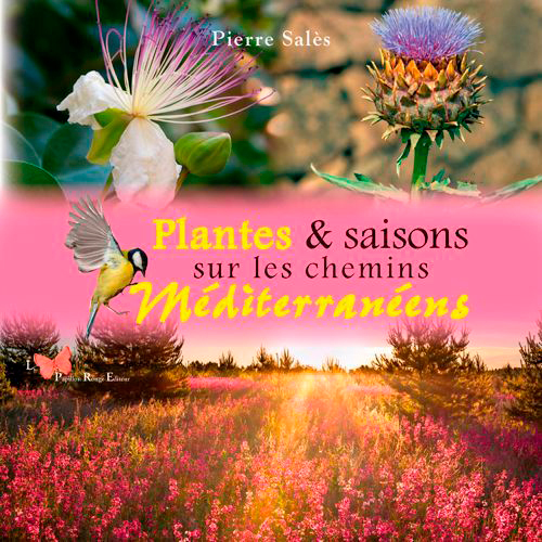 Plantes & Saisons Sur Les Chemins Méditerranéens