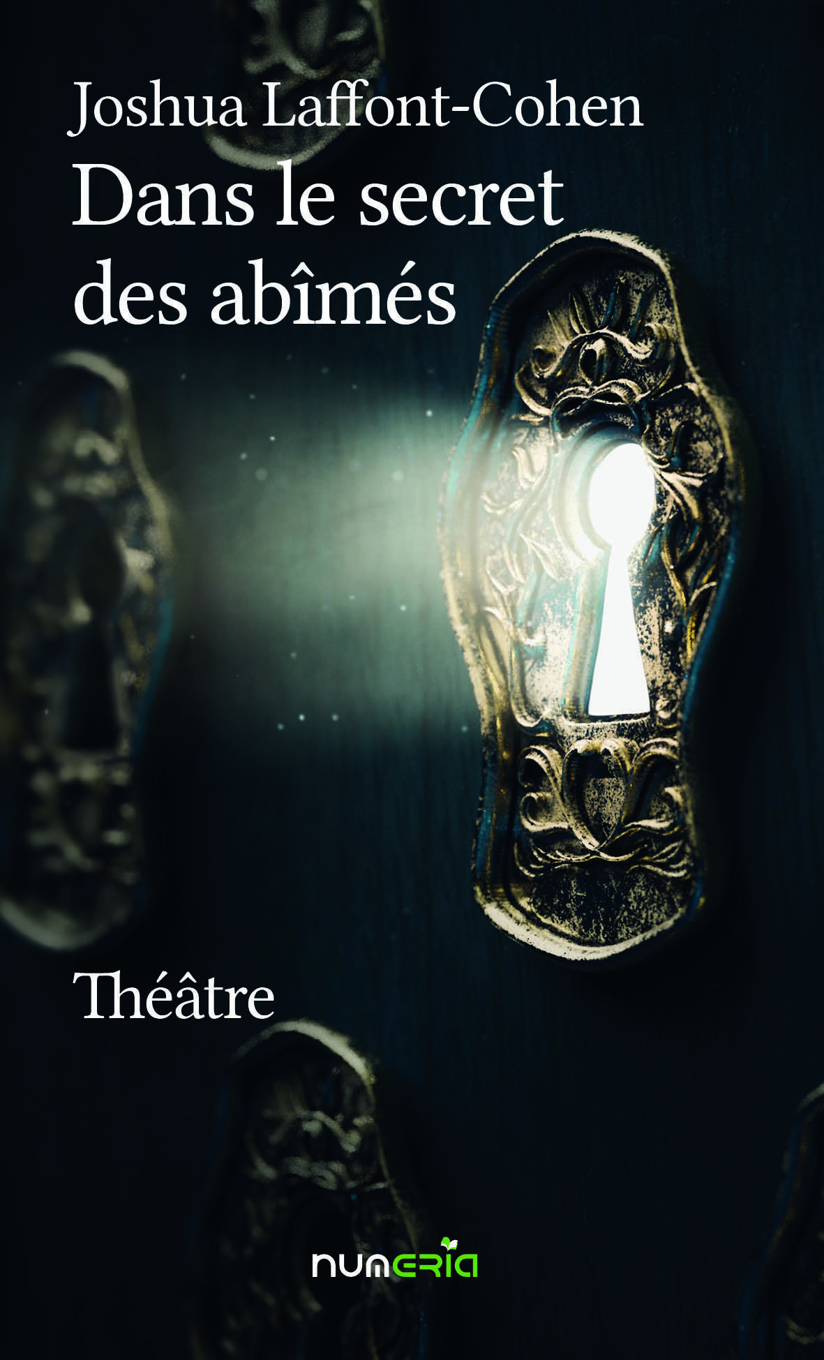 Dans le secret des abîmés