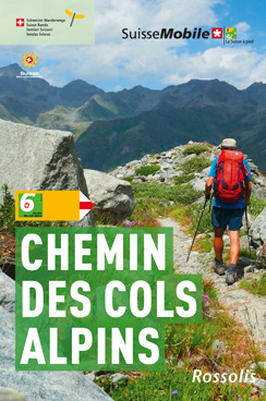 La suisse a pied chemin des cols alpins
