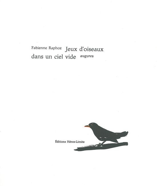 Jeux d'oiseaux dans un ciel vide