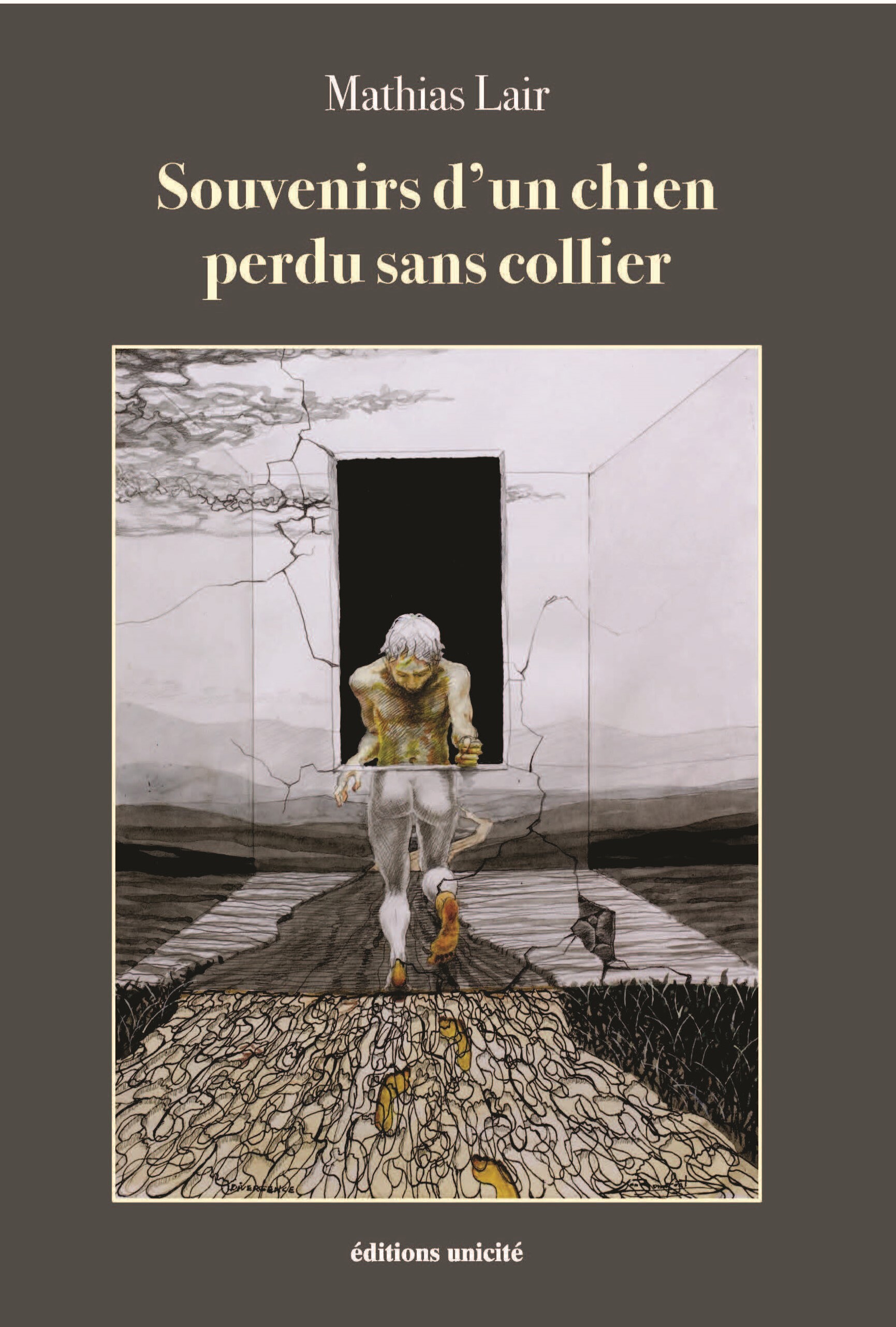 Souvenirs d'un chien perdu sans collier