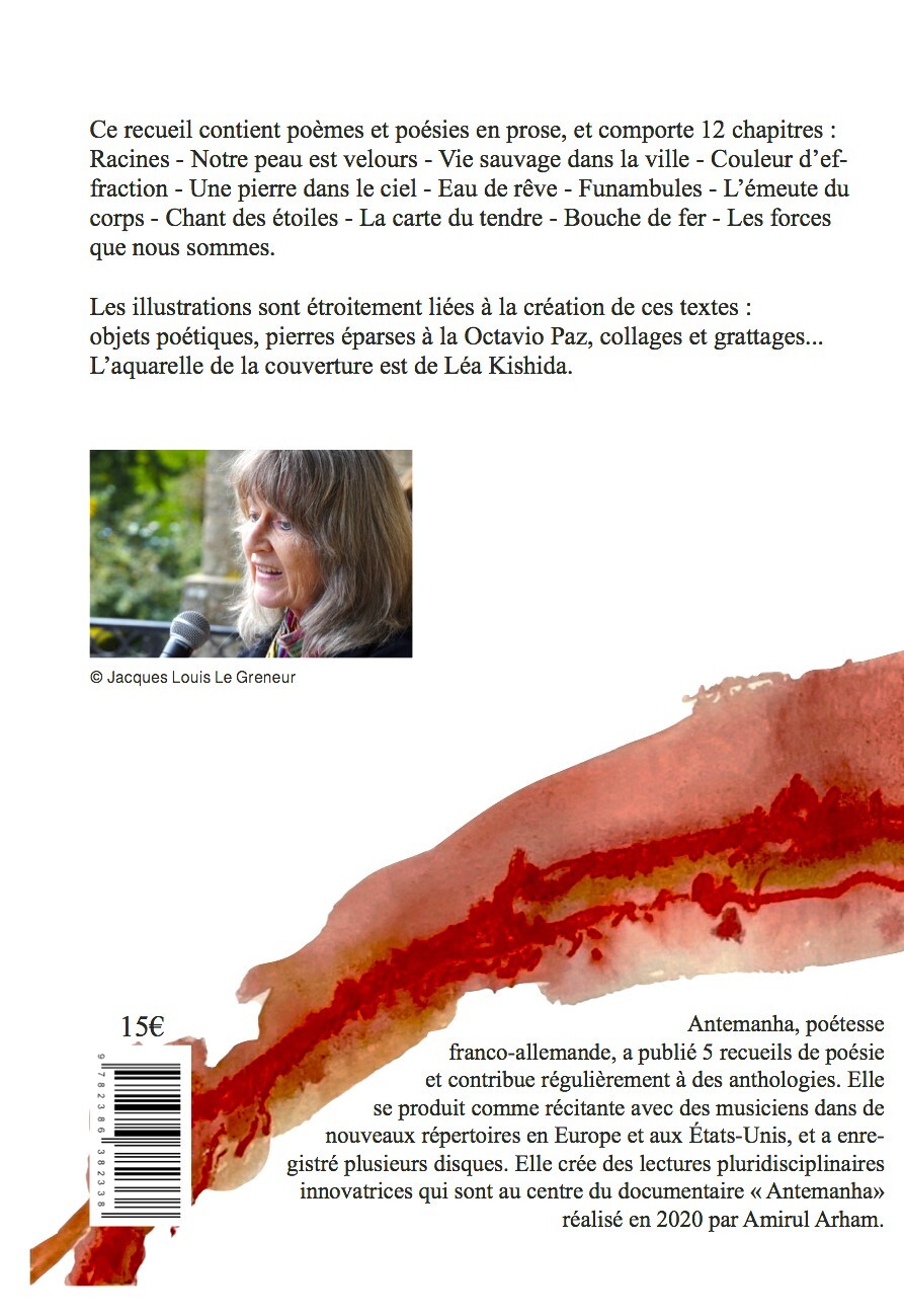 Densité des rouges-gorges