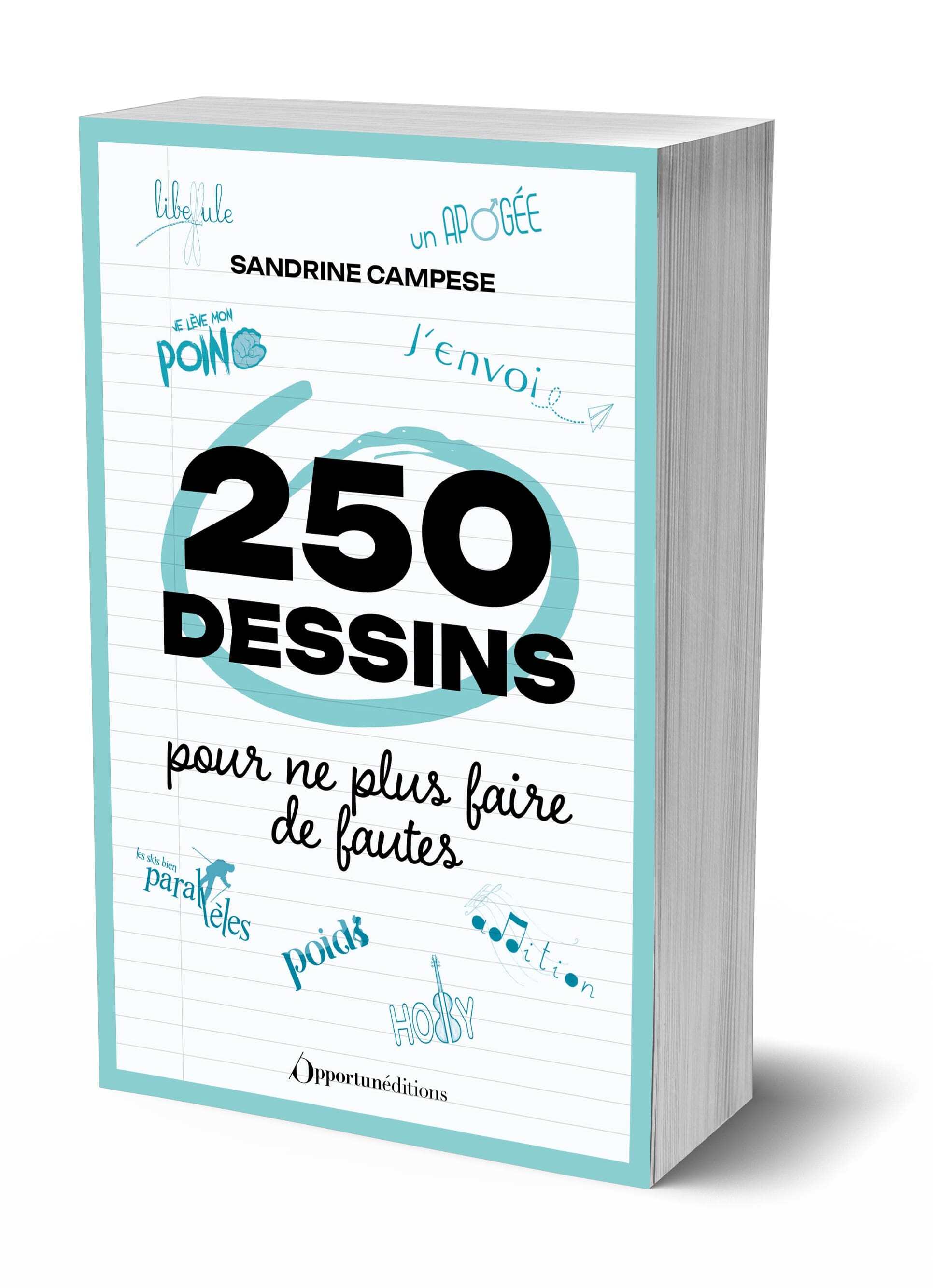 250 dessins pour ne plus faire de fautes