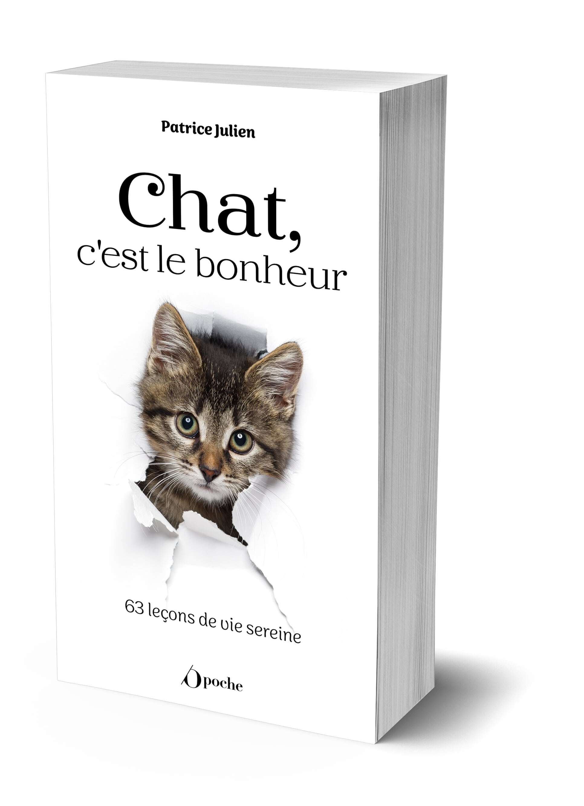 Chat, c'est le bonheur