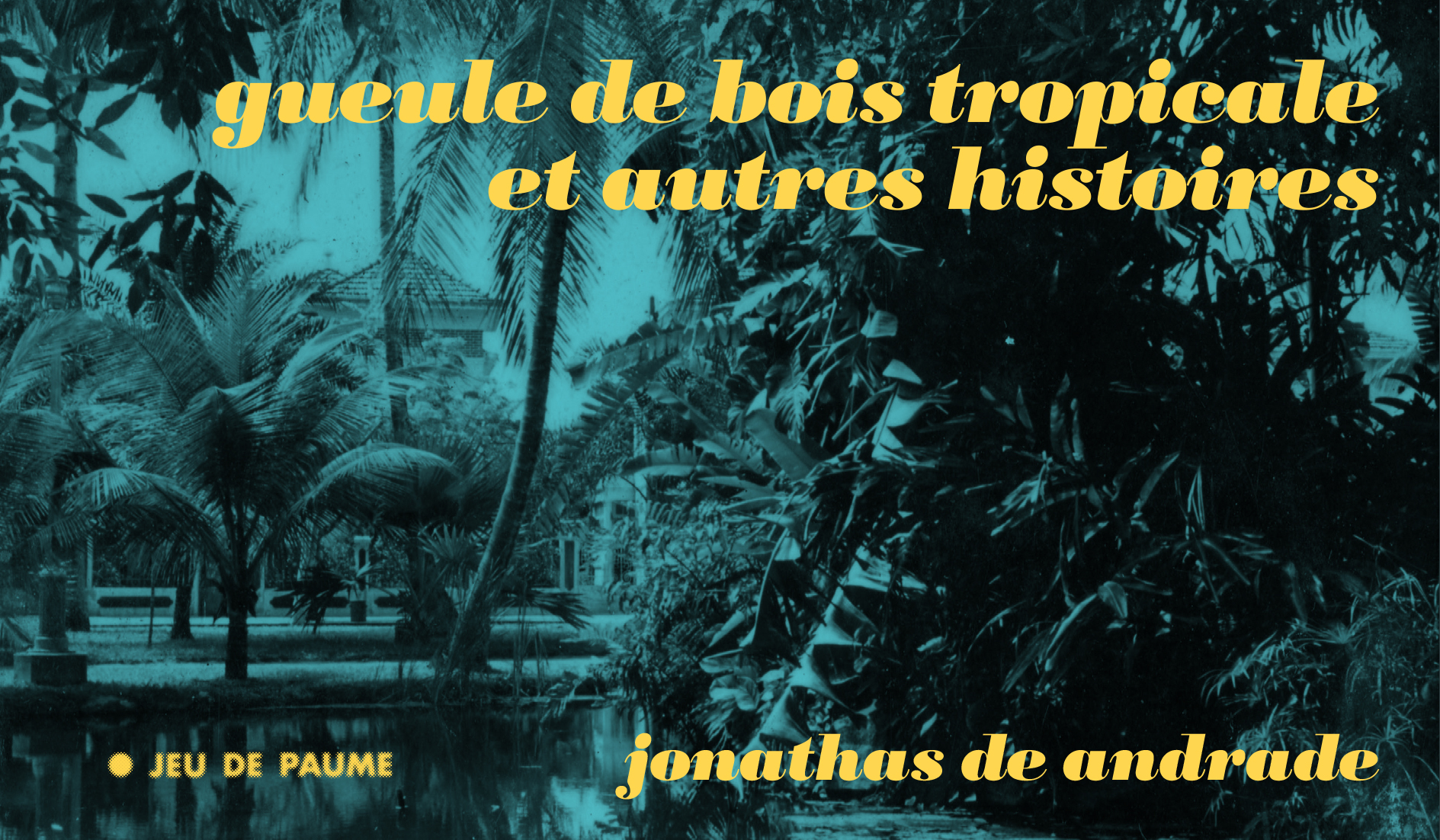 Gueule de bois tropicale et autres histoires