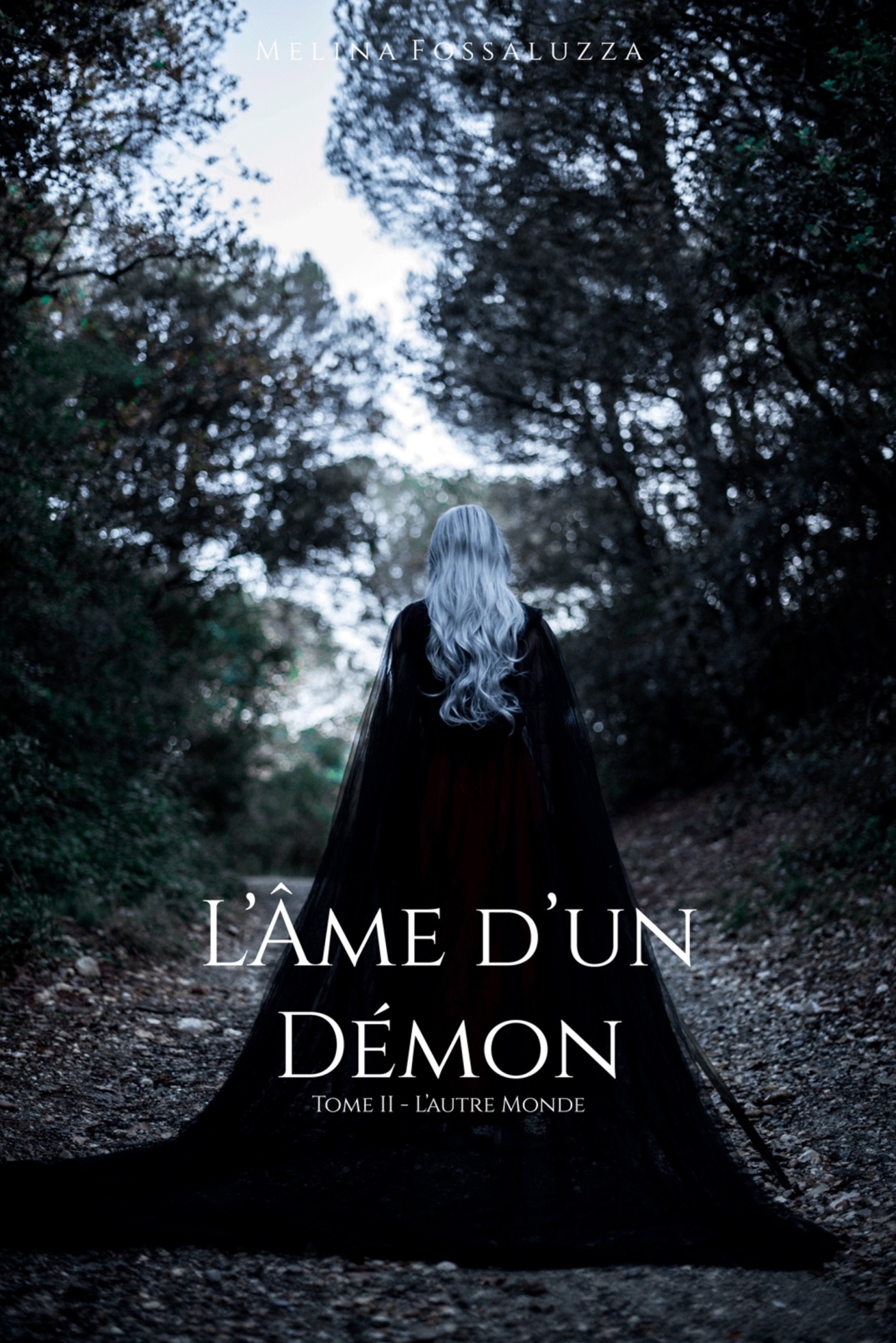 L'Âme d'un démon - Tome II