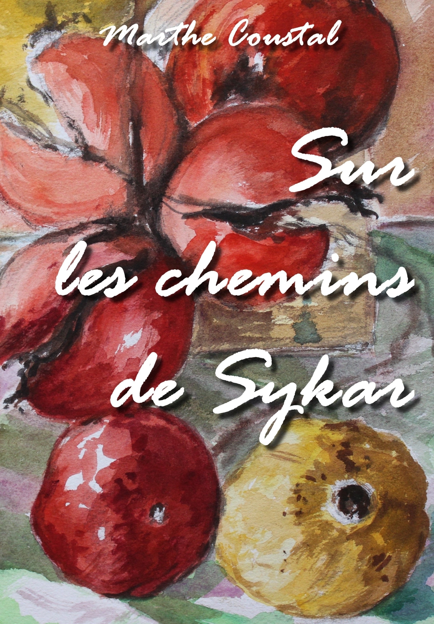 Sur les chemins de Sykar