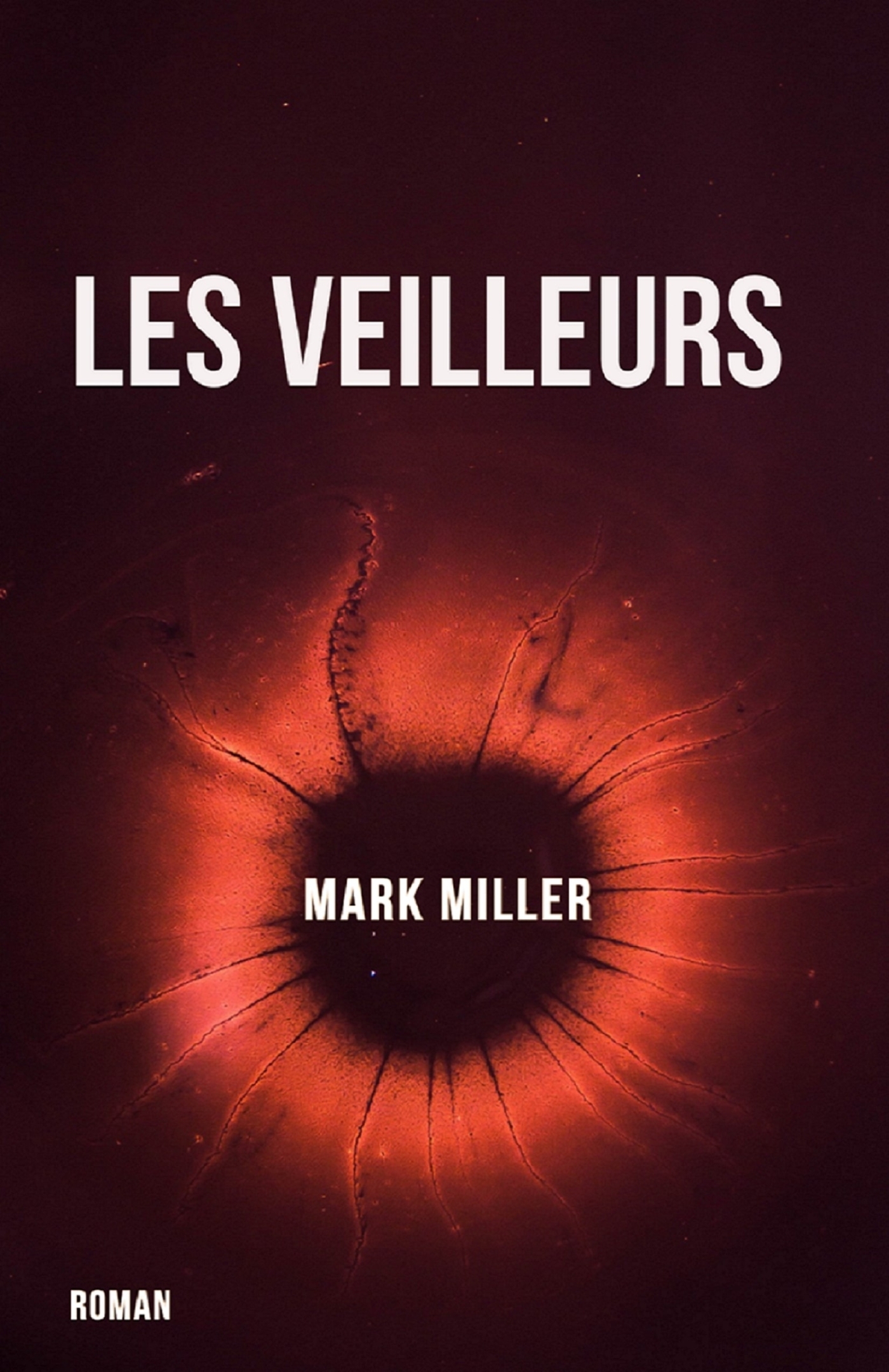 Les Veilleurs