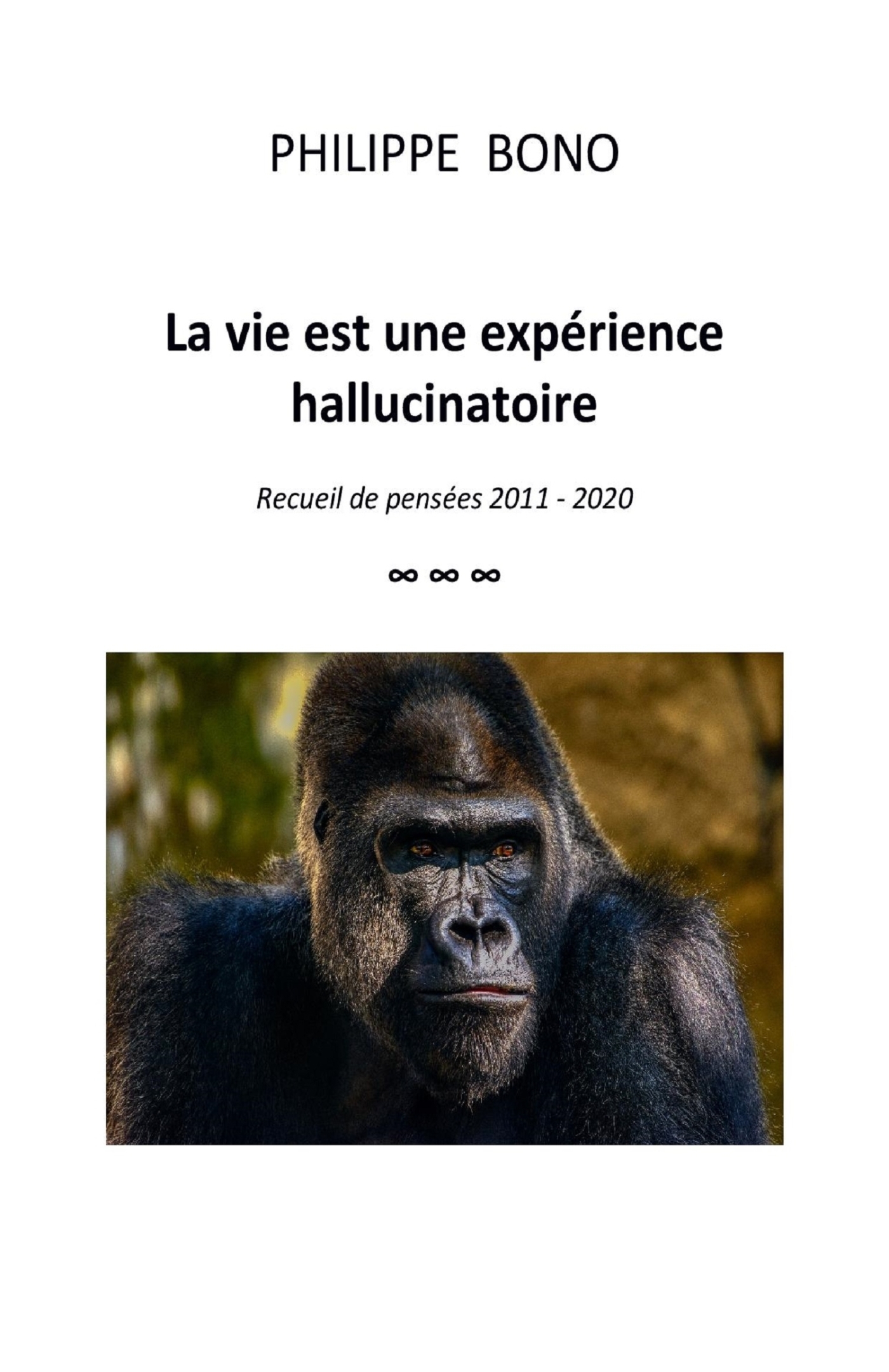La vie est une expérience hallucinatoire
