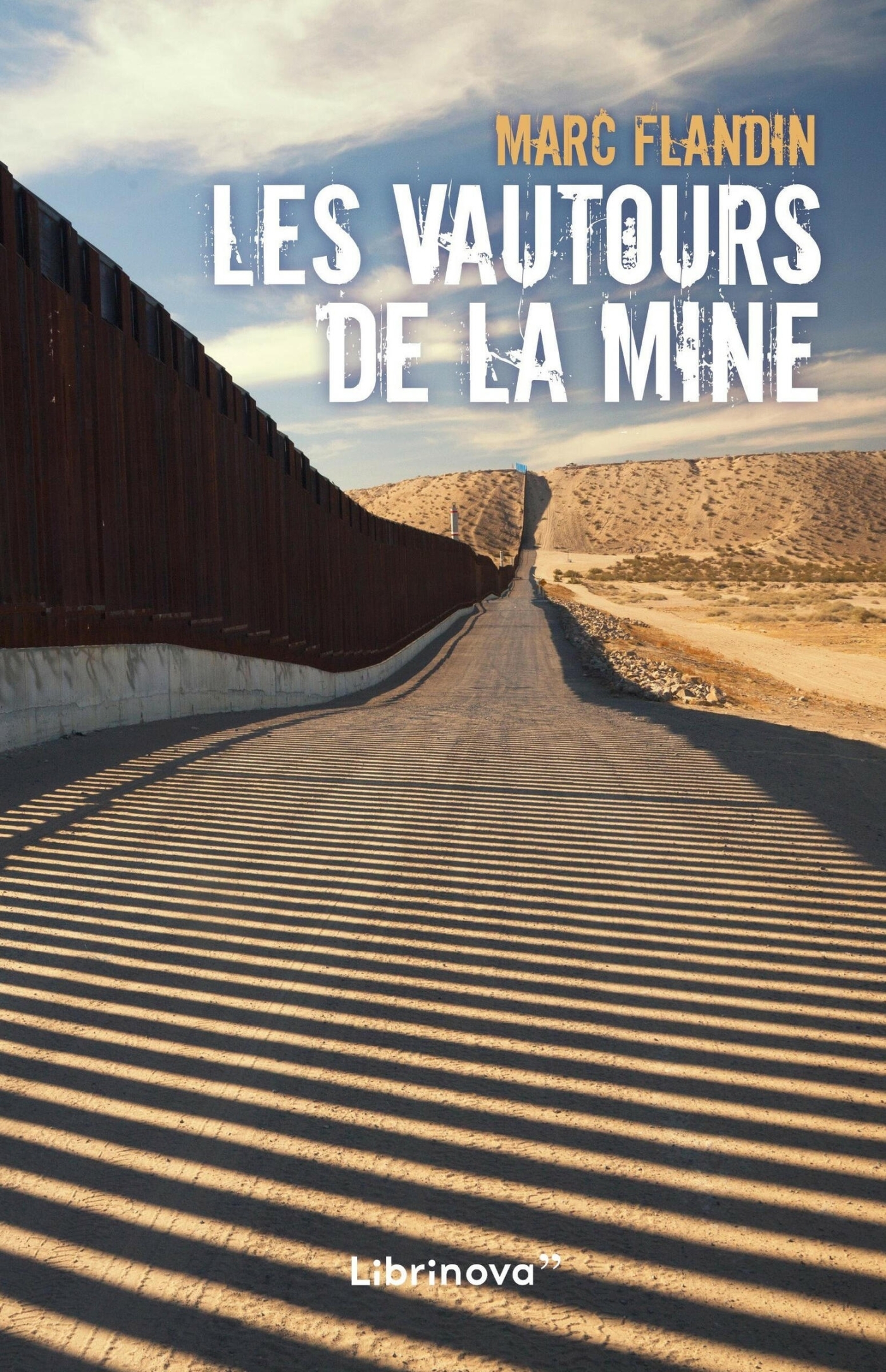Les vautours de la mine