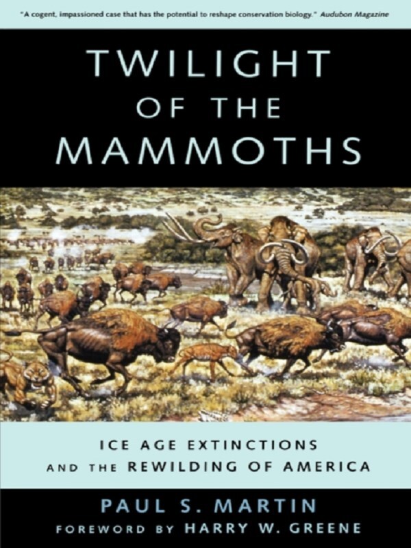 Twilight of the Mammoths
