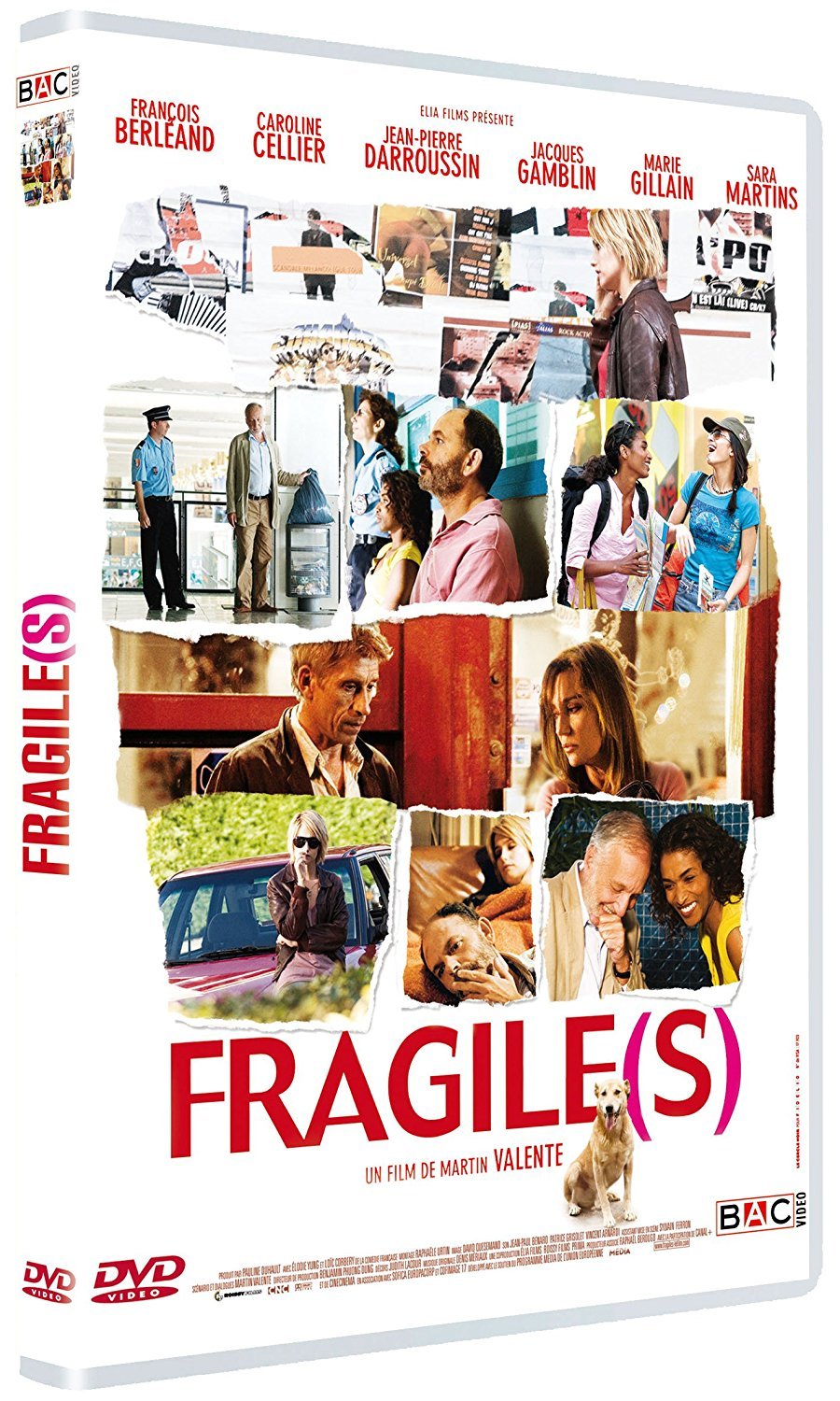 FRAGILE(S)