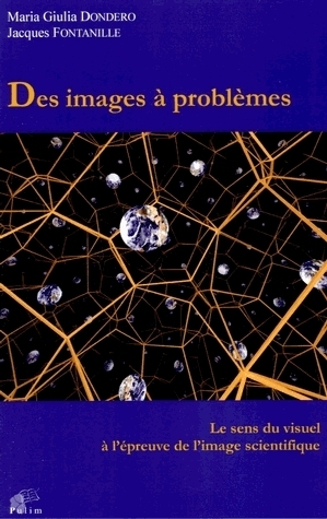 Des images à problèmes - le sens du visuel à l'épreuve de l'image scientifique