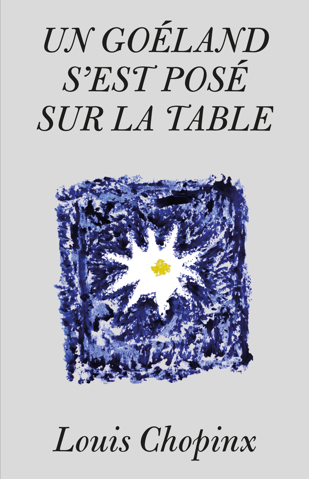 Un goéland s'est posé sur la table