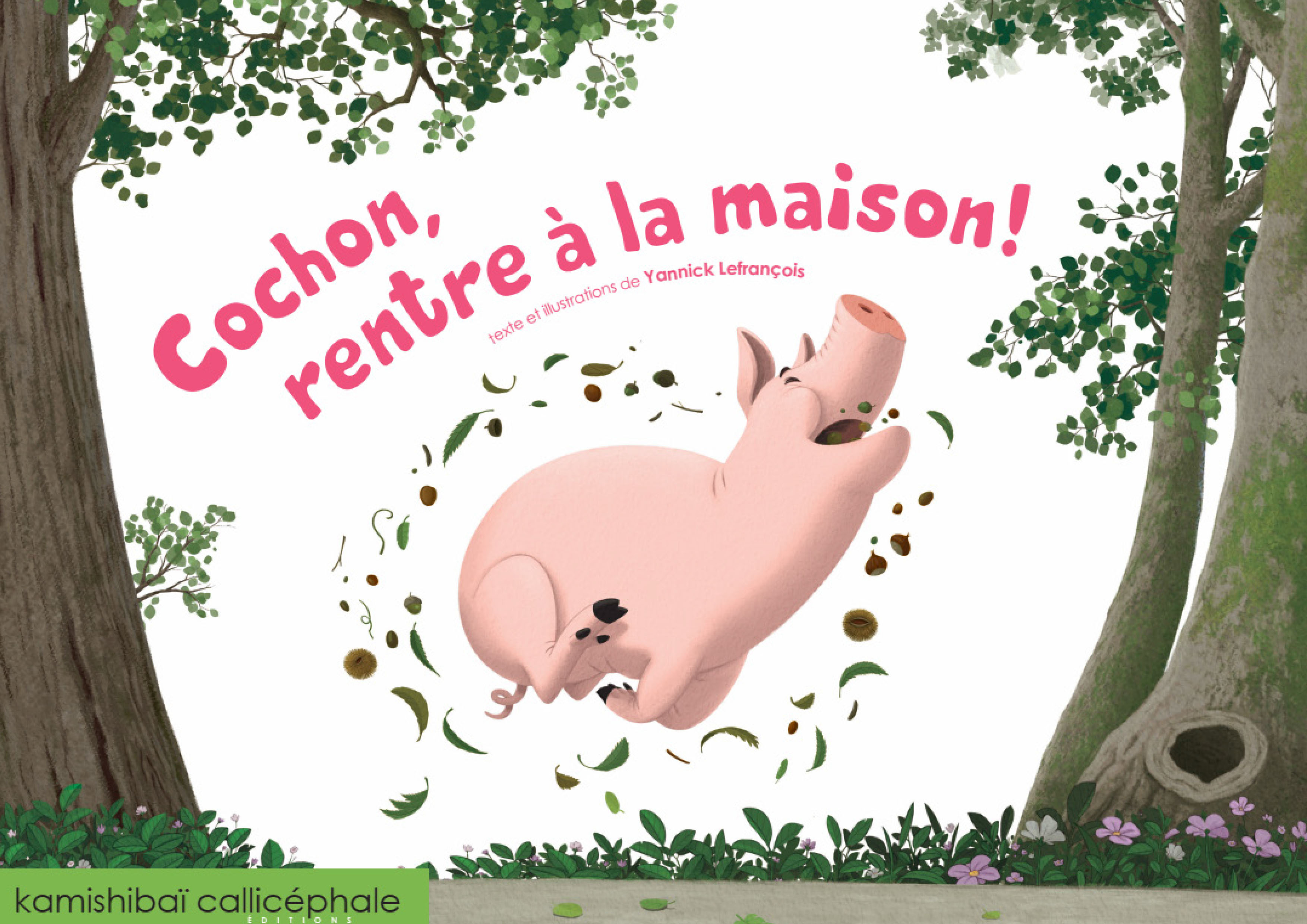 Cochon, rentre à la maison!