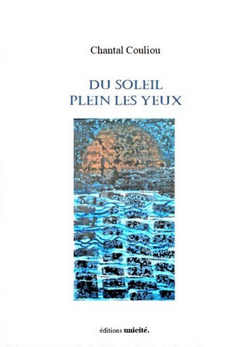 Du soleil plein les yeux - haïkus au fil des jours