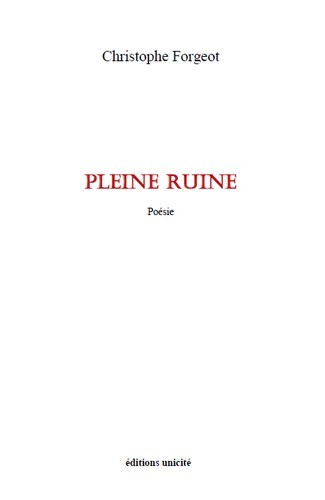 PLEINE RUINE