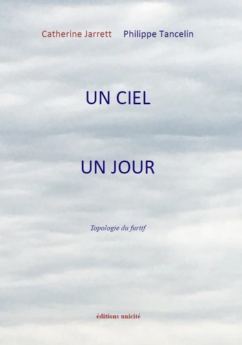 Un ciel, un jour - typologie du furtif
