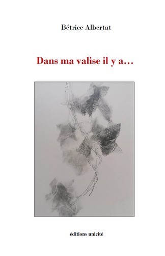 Dans ma valise il y a