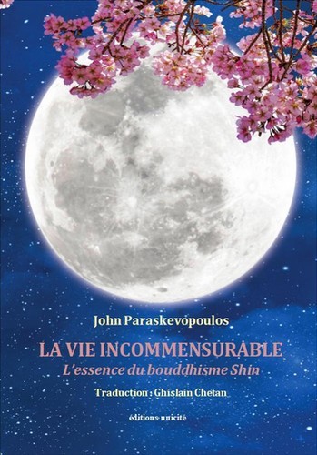 LA VIE INCOMMENSURABLE - L'ESSENCE DU BOUDDHISME SHIN