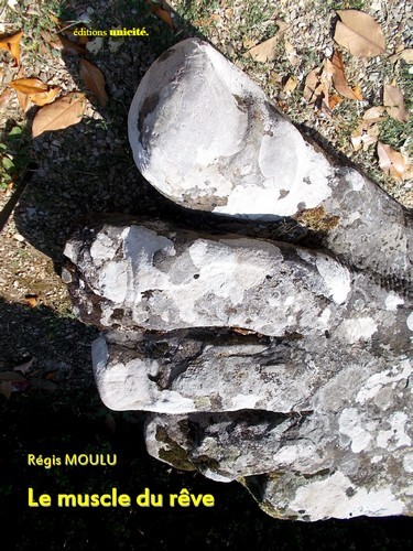 LE MUSCLE DU REVE