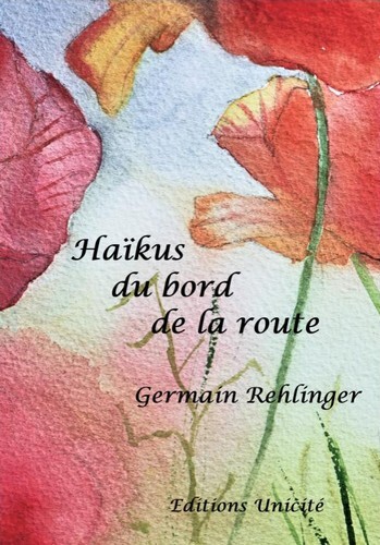 HAIKUS DU BORD DE LA ROUTE