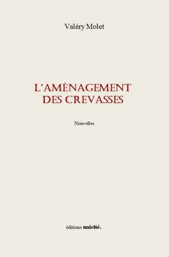 L'AMENAGEMENT DES CREVASSES