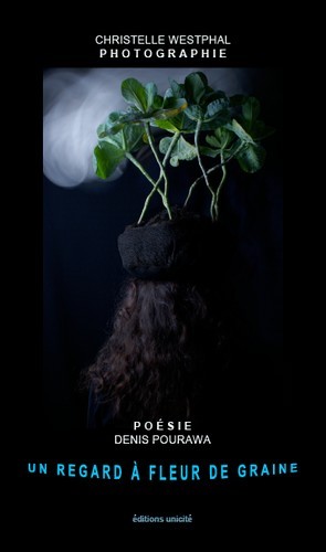 Un regard à fleur de graine...