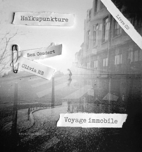 HAIKUPUNKTURE - VOYAGE IMMOBILE