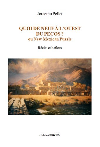 Quoi de neuf à l'ouest du Pecos ? - ou New Mexican puzzle