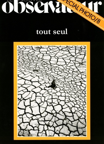 LE NOUVEL OBSERVATEUR HS. TOUT SEUL