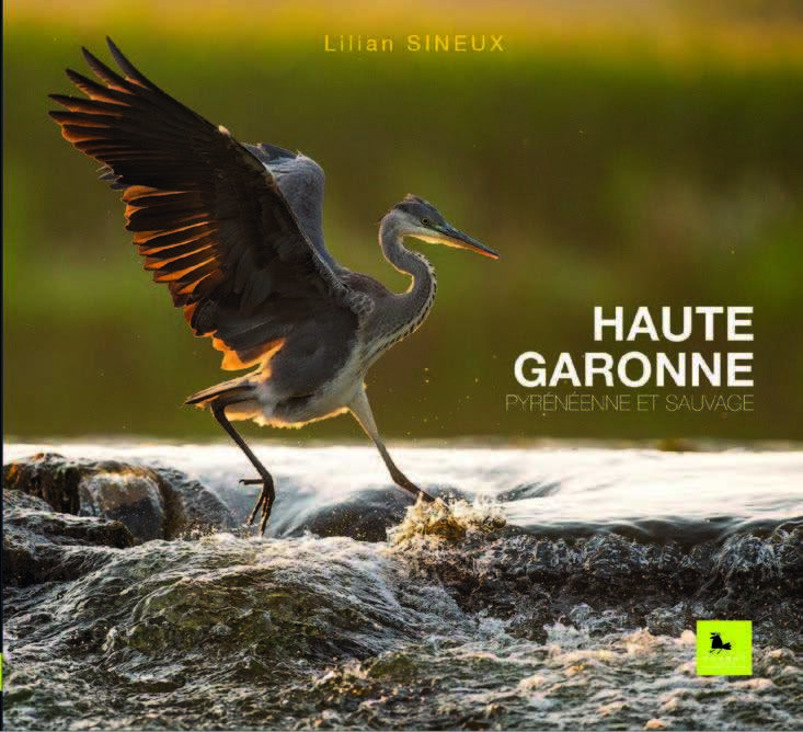 HAUTE-GARONNE - PYRENEENNE ET SAUVAGE