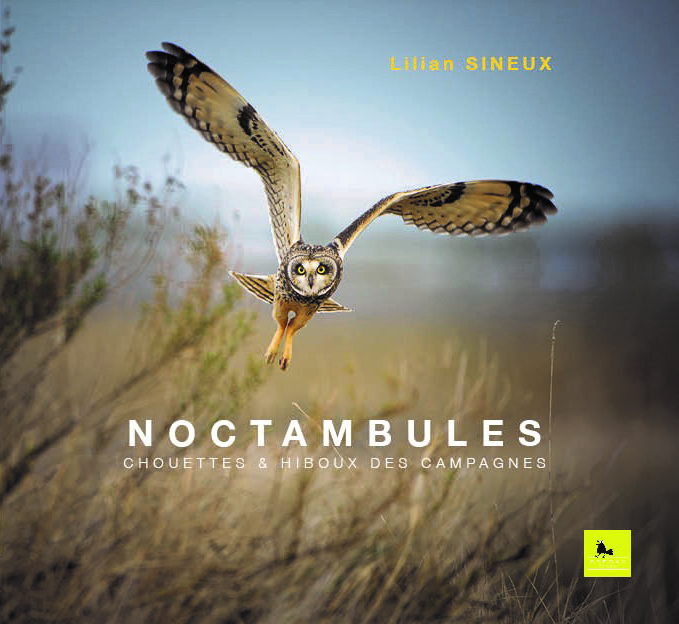 NOCTAMBULES - CHOUETTES ET HIBOUX DES CAMPAGNES
