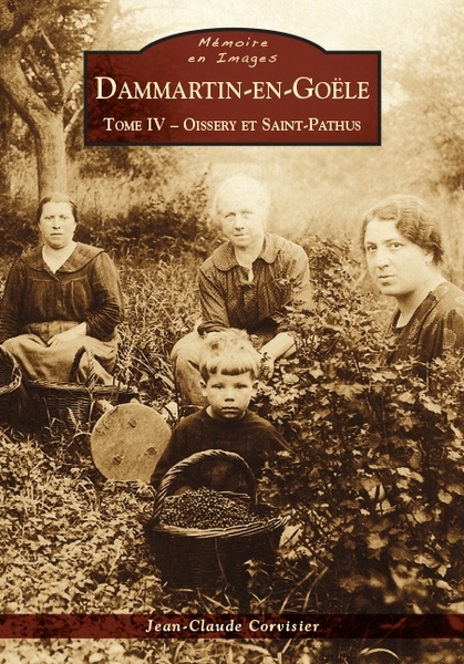 Dammartin-en-Goële - Tome IV