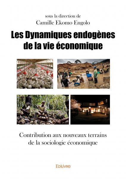 Les dynamiques endogènes de la vie économique