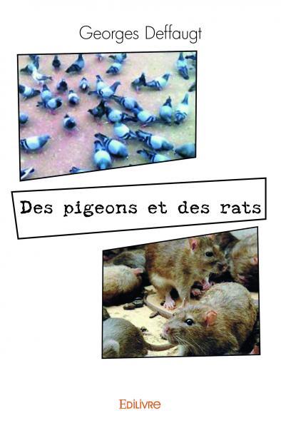 Des pigeons et des rats