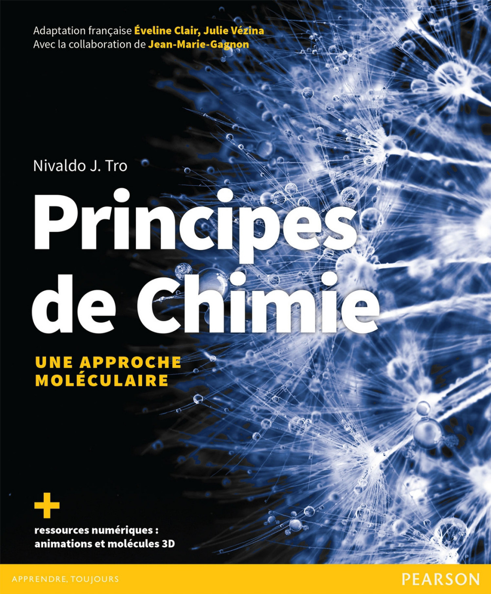 Principes de chimie - Une approche moléculaire
