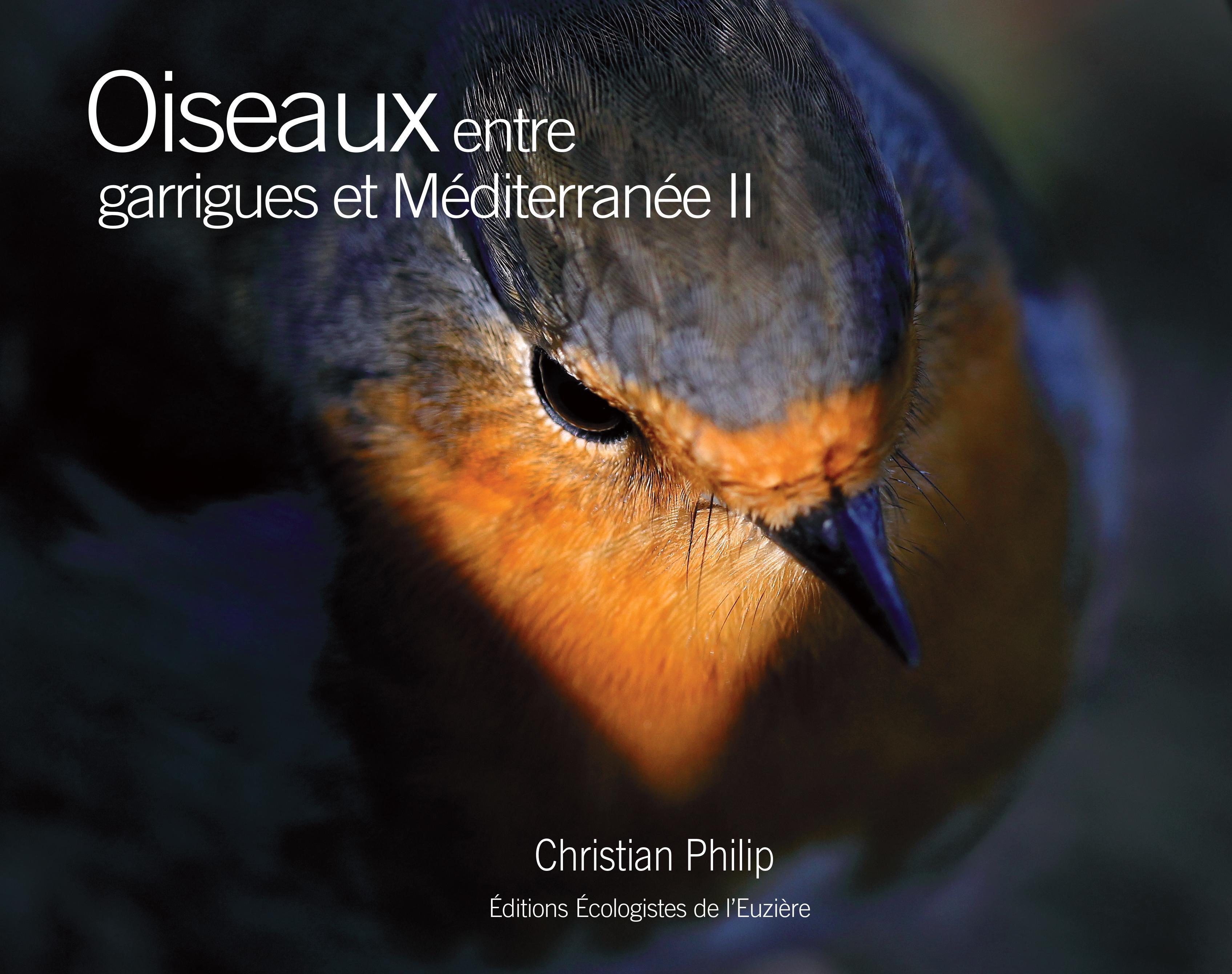 Oiseaux entre garrigues et Méditerranée II
